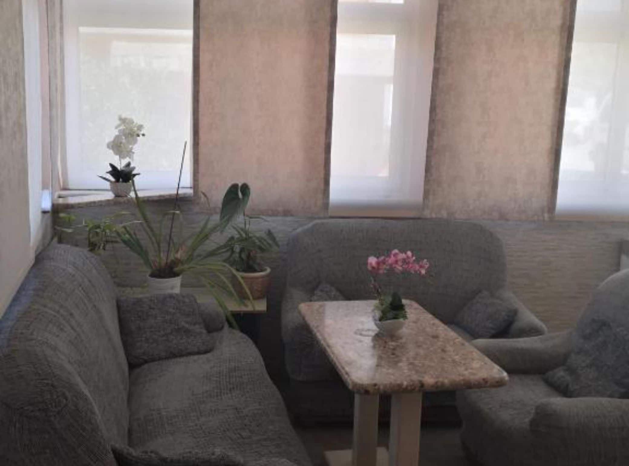 A living room with a grey sofa, a small table with a vase of flowers, and potted plants.
