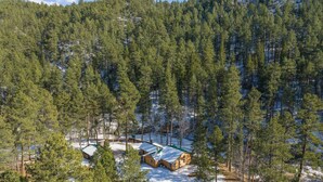 Eine Hütte, umgeben von dichtem Wald und Schnee.