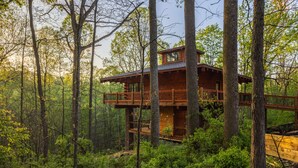 Een houten chalet met balkon, omringd door dicht bos.
