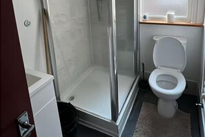 Ein Badezimmer mit Duschkabine aus Glas, einer weißen Toilette und einem kleinen Ablagefach mit Toilettenpapier.