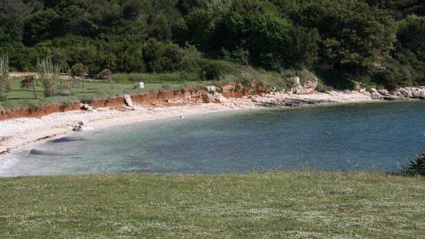 Een kustlandschap met een helder strand, een rotsachtige kustlijn en een dicht bos op de achtergrond.