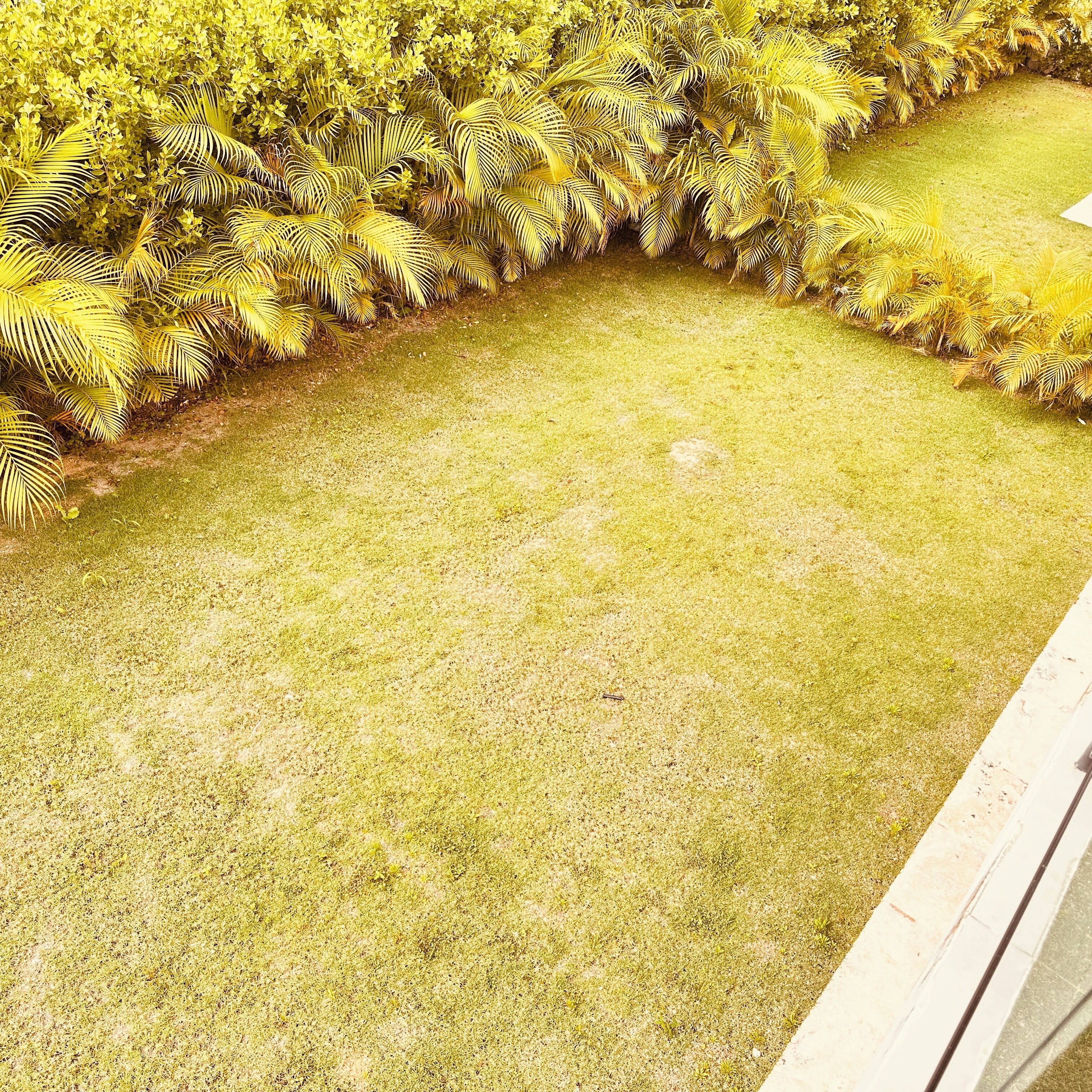 A well-maintained lawn bordered by dense foliage.
