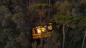 Une cabane isolée, entourée d’une forêt dense, avec une terrasse visible et une voiture garée à l’extérieur.