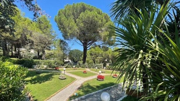 Ein Garten mit einem zentralen Weg, umgeben von verschiedenen Pflanzen und Bäumen.