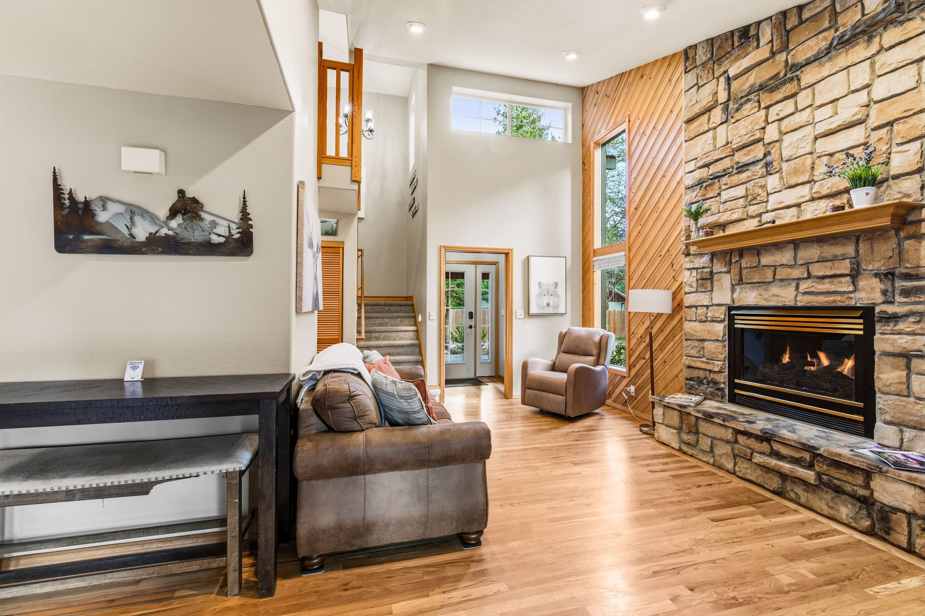 TV, fireplace, books