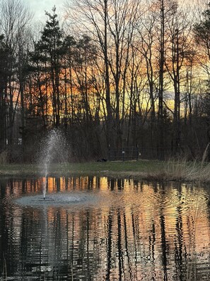 Miscellaneous - Relaxing Country Stay Hobby Farm Horses and 3 Miles from the beach and shopping (South Haven)