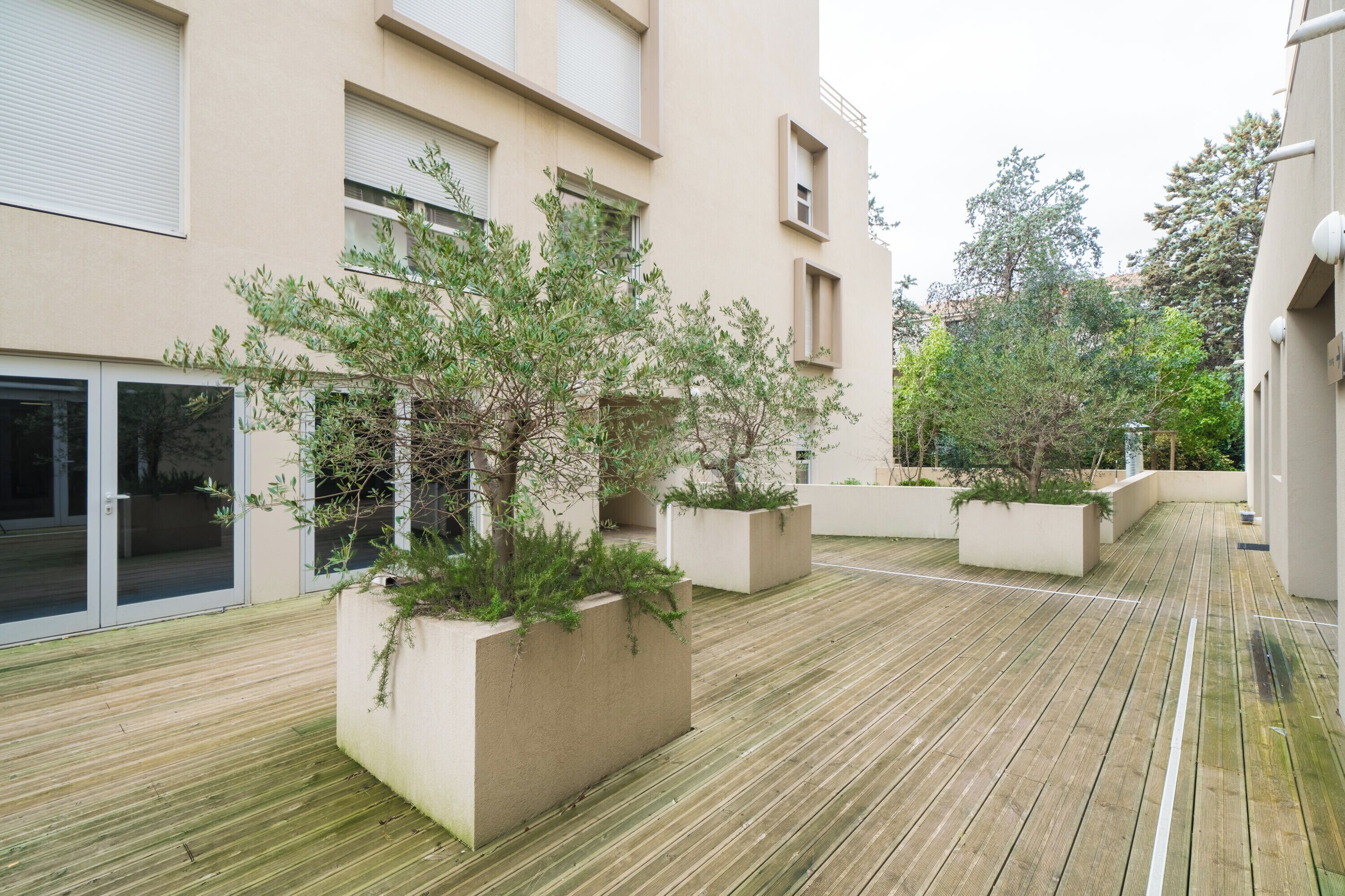 A courtyard with wooden flooring, planters with greenery, and a building with large windows and a door.