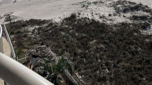 En strand med en mole, sandet terræn og sparsom beplantning.