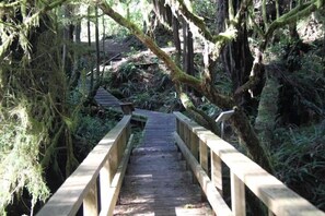 Property grounds - Seaside Ucluelet Hotel (Ucluelet)