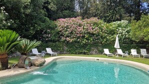 A swimming pool with lounge chairs and a waterfall feature. - Villa Grotta Leone (Campania)