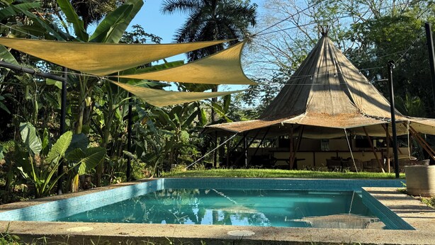 Ein Swimmingpool, umgeben von üppiger Vegetation und beschattet durch eine große Markise.