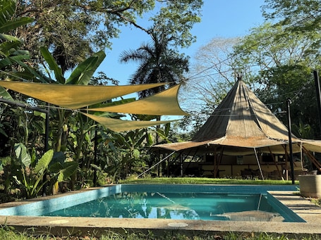 Outdoor pool. Kritajna Safari Resort