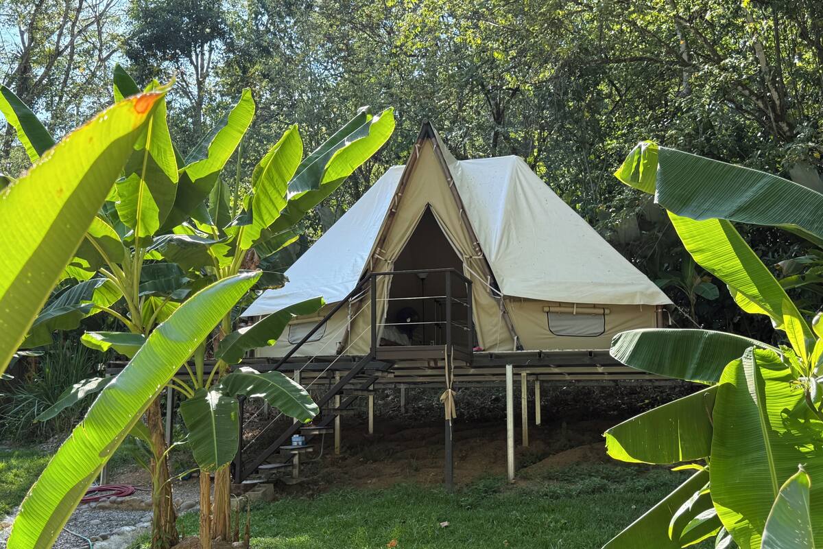A tent-like structure with a balcony, surrounded by lush greenery.