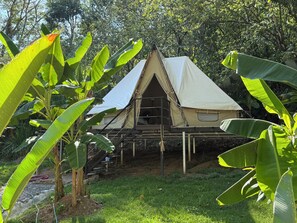 Unclassified image, 2 of 9, button - Kritajna Safari Resort (Savegre de Aguirre)