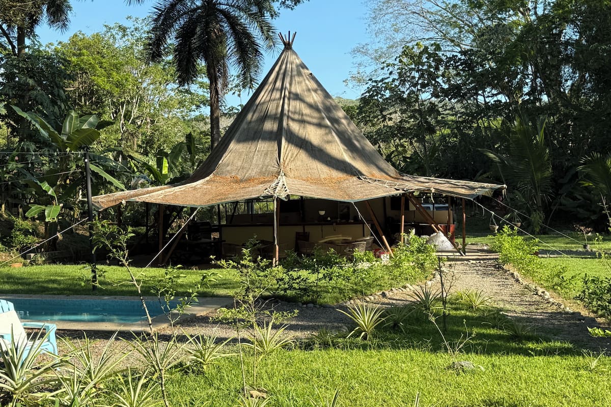 A thatched-roof hut with a pool and lush greenery.