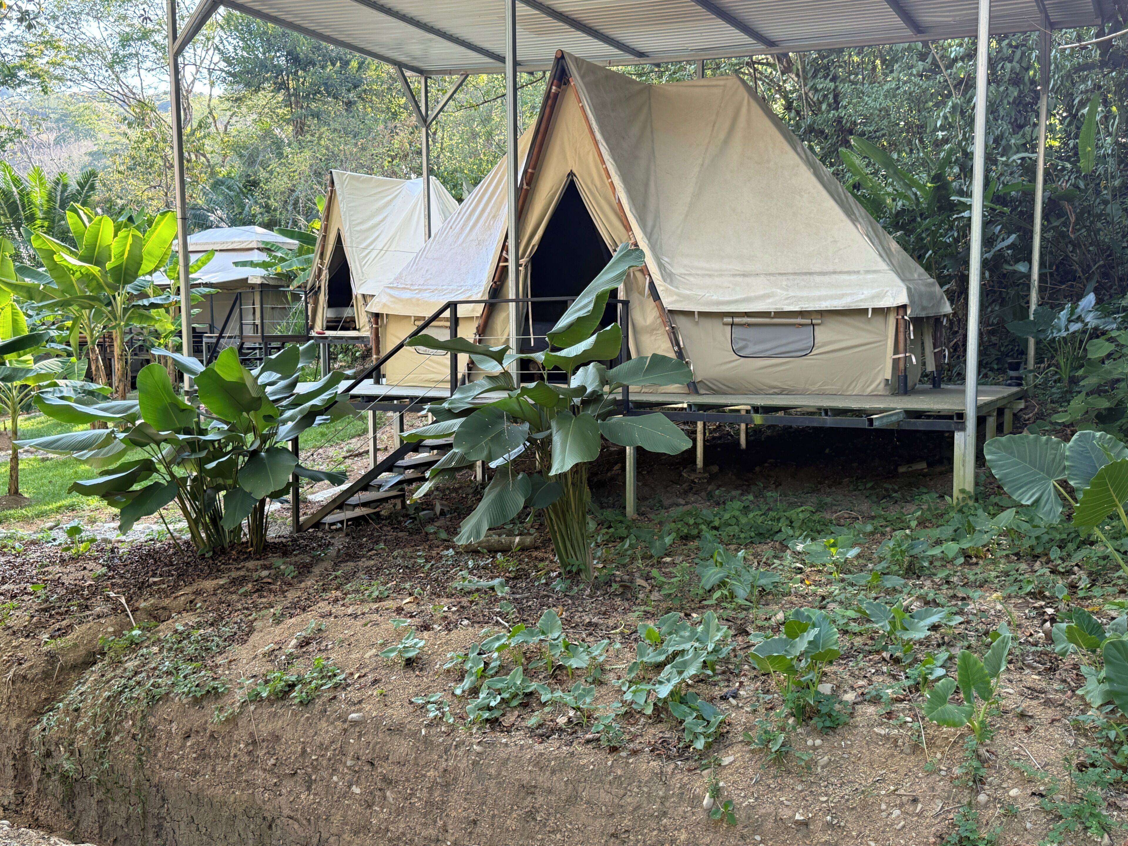 Comfort Tent, Garden View | Property grounds