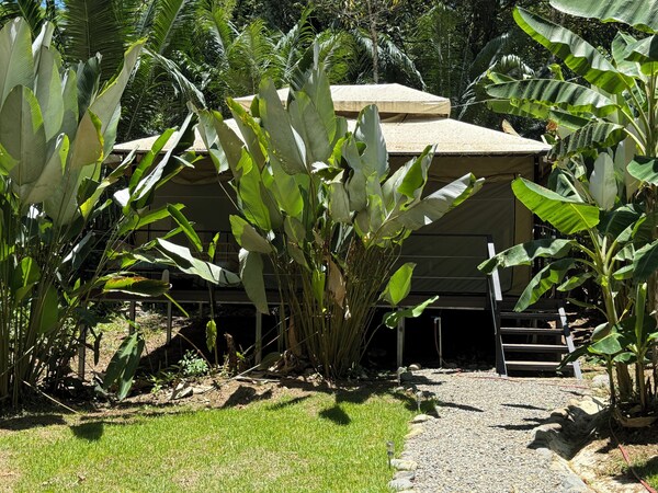 Kritajna Safari Resort - San José