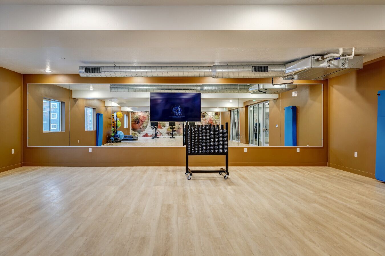 A spacious room with a large mirror, a treadmill, and exercise equipment.