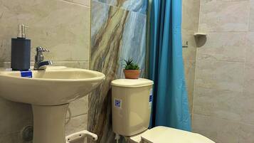 Shower, towels, soap, toilet paper