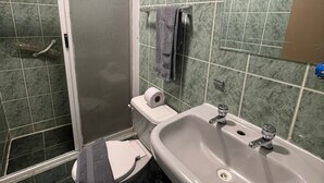 Baño con ducha, inodoro, lavabo y toallero.