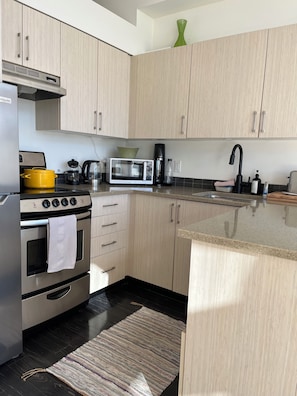 Unclassified image, 5 of 21, button - Sunny Central and Quiet ! Walk anywhere from this sweet Cook St Village condo (Victoria)