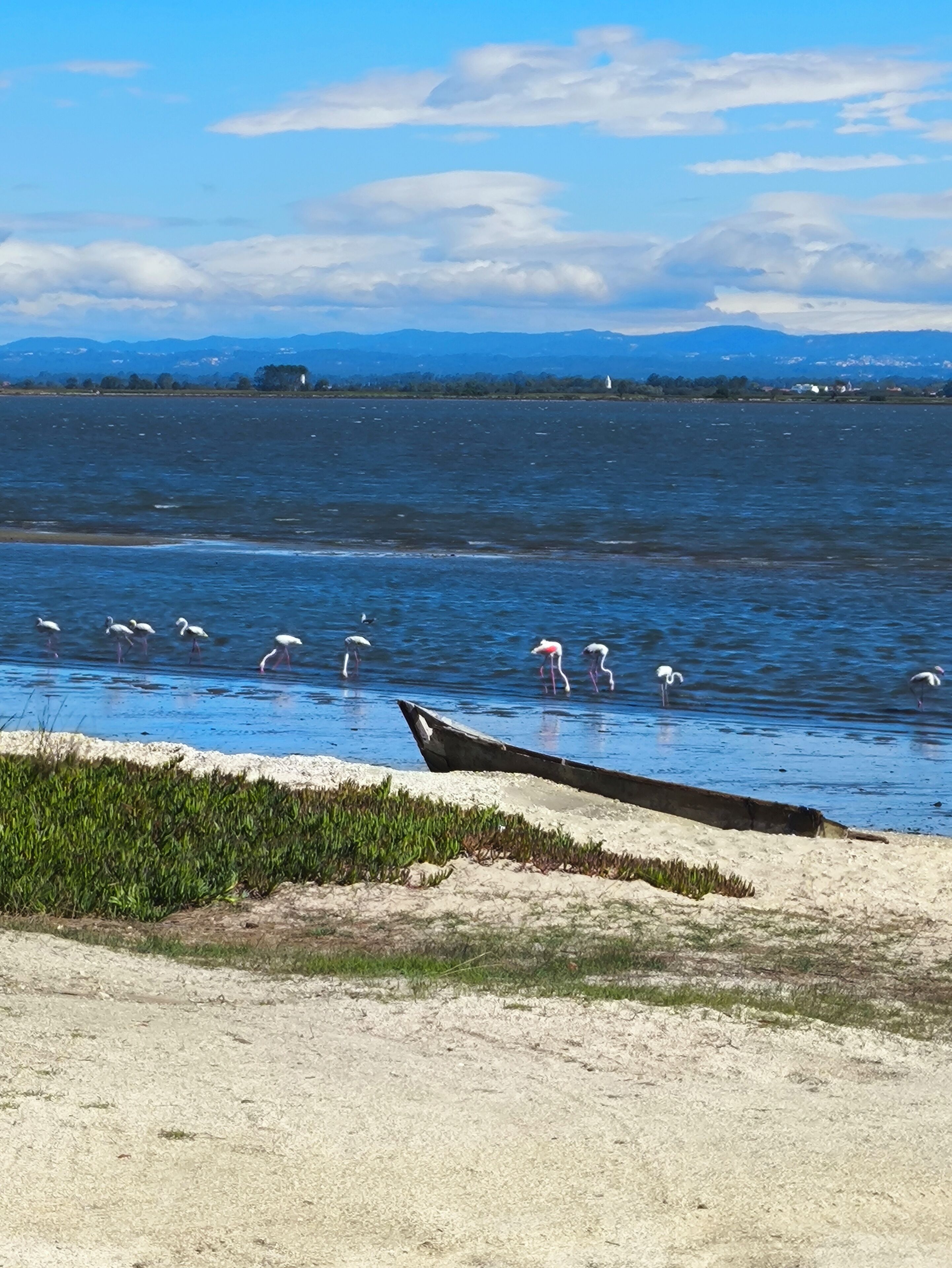 Un paysage côtier avec un bateau sur la plage, une étendue de sable et une étendue d’eau où l’on peut voir des oiseaux.