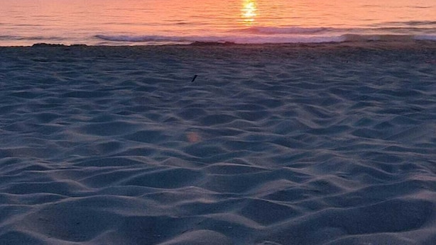 Een strand met een zonsondergang boven de oceaan.