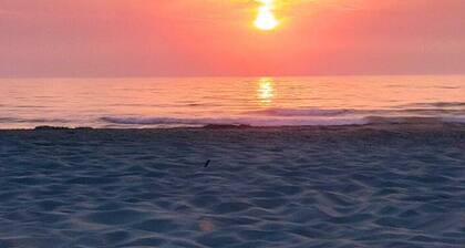 Sixtynine Beach Cottage - Jacuzzi | Garden 75m² | Complete house