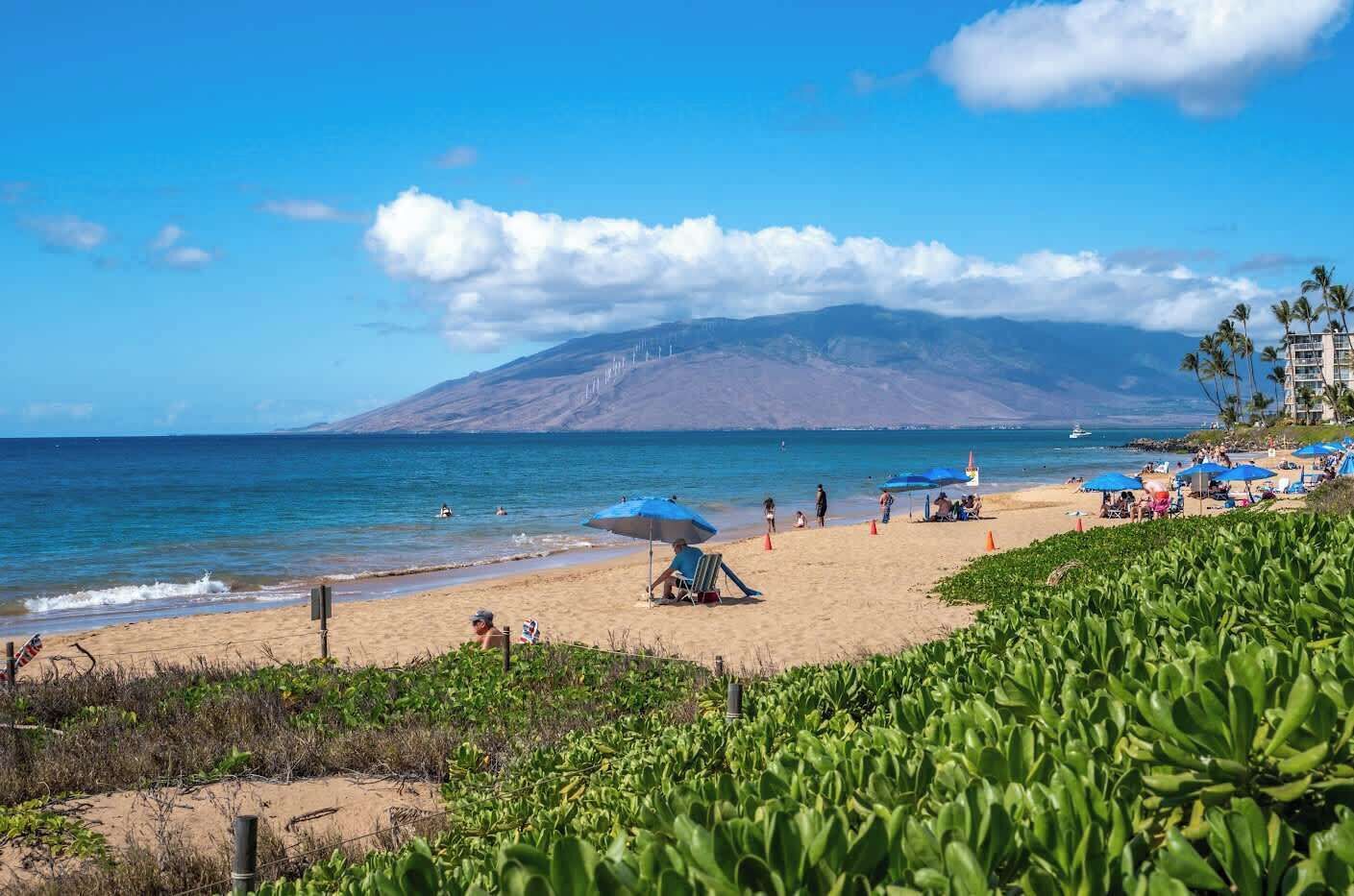 Uma praia com pessoas, guarda-sóis e uma montanha ao fundo.