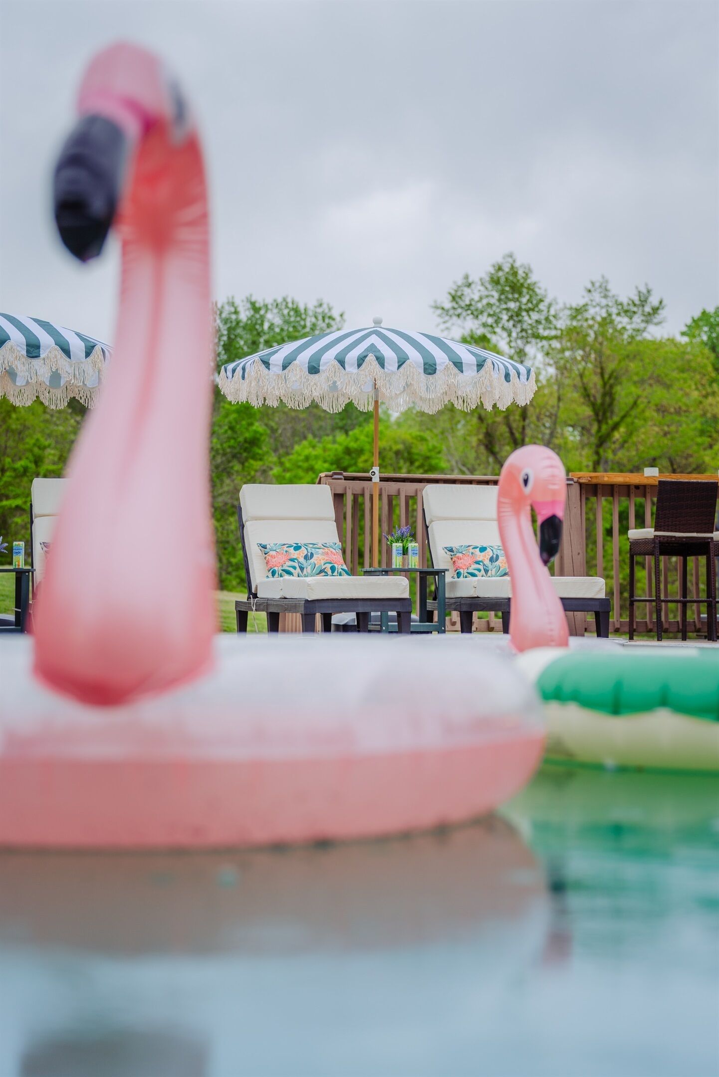 Piscine chauffée