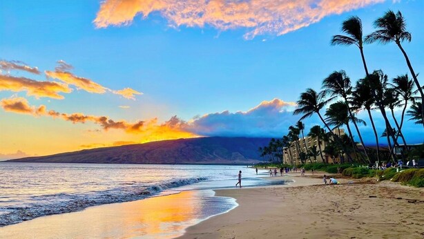 Ein Strand mit Palmen, einem klaren Himmel und einem Sonnenuntergang.