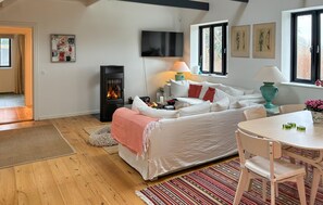 Smart TV y chimenea 