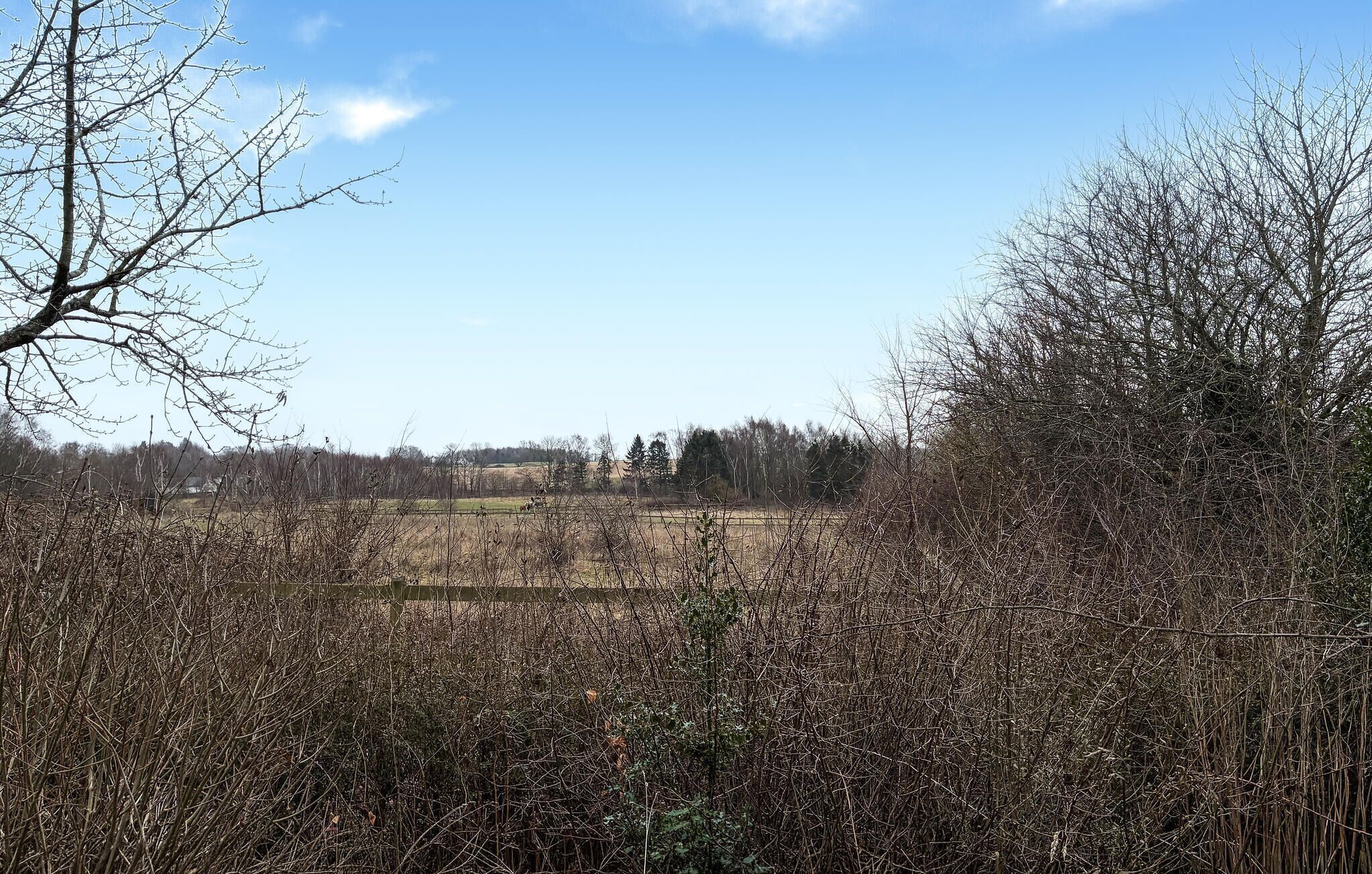 Ländliche Landschaft mit Feld, Bäumen und blauem Himmel.