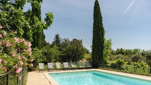 En rektangulär swimmingpool med klart, blått vatten, omgiven av en betongplattform. Längs poolens kant står fem solstolar uppradade.