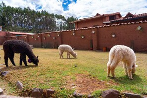 المنطقة المحيطة بالمنشأة