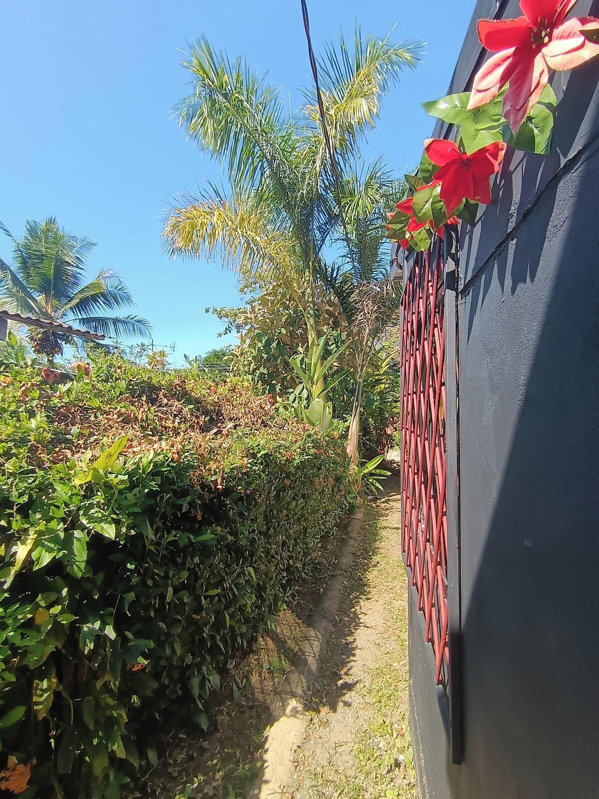 Imagem do perfil do anfitrião