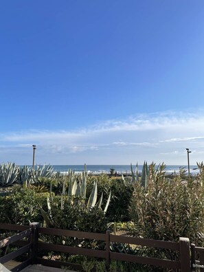 Property grounds - CAP-Y-SUN - Studio Héliopolis O18 - Luxe - 2 people (AGDE)