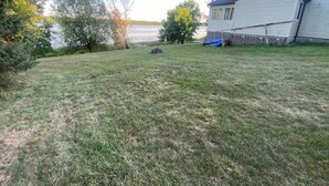 A grassy backyard with a house, trees, and a body of water. - Water Front Lake House - Black Lake, NY (Ogdensburg)