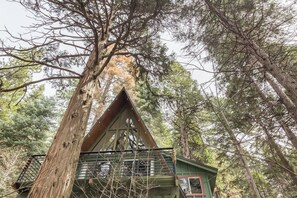 Exterior - Modern A Frame - Cozy Mountain Retreat in Lake Arrowhead (Lake Arrowhead)