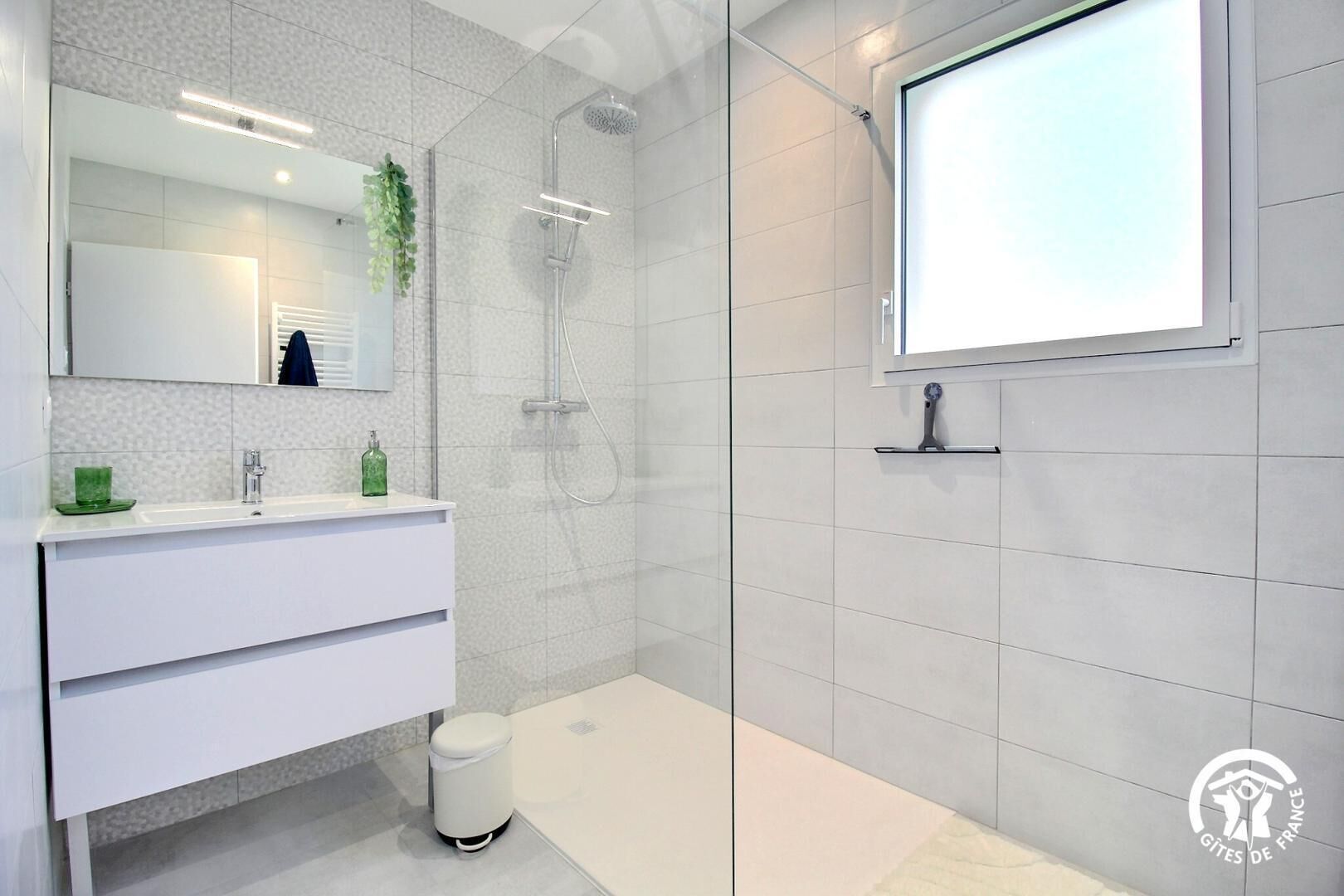 Shower, hair dryer