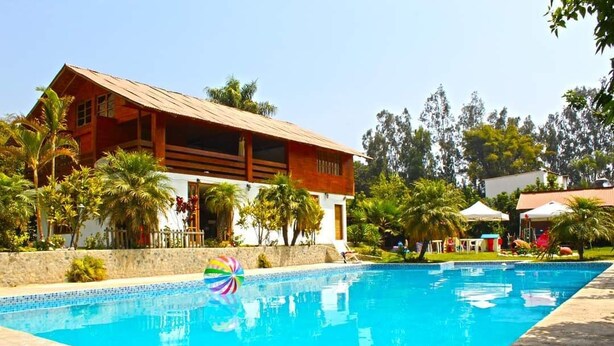 A wooden house with a pool, surrounded by palm trees and greenery.