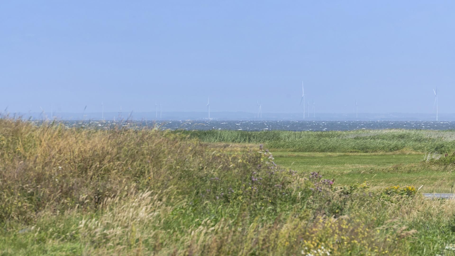 A landscape with wind turbines in the distance and a field in the foreground.
