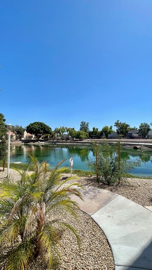 A clear blue sky, a calm pond, and a building in the background. - Serene 3-Bedroom Oasis in Phoenix, Arizona (Phoenix)