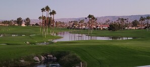 Golf - Beautifully Appointed Rare Single Story 2BD 2Bath Townhouse in Desert Falls (Palm Desert)