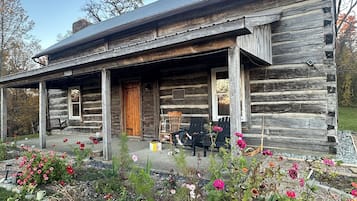 Eksteriør