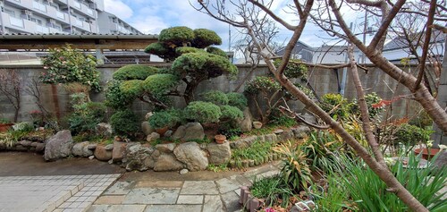 Tsubaki no Yado: Bath with Courtyard, Entire Traditional Japanese House with Garden Available for Rent (August 5–14) Nara Tōka-e Campaign: Affordable Rates Available. The gentle glow of the lanterns is sure to bring healing and put a smile on your face.
