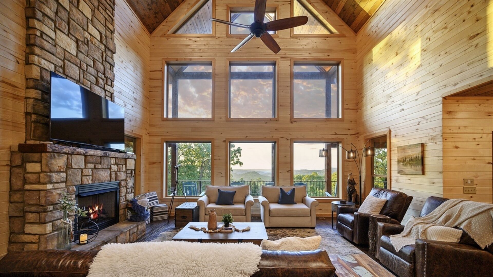 Smart TV, fireplace, video games, books