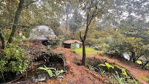 A rustic cabin with a thatched roof, surrounded by dense forest and a small stream.