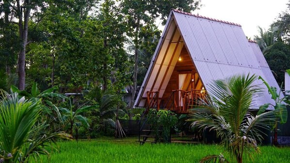 Exterior - Golden Rock Retreat (Sigiriya,)