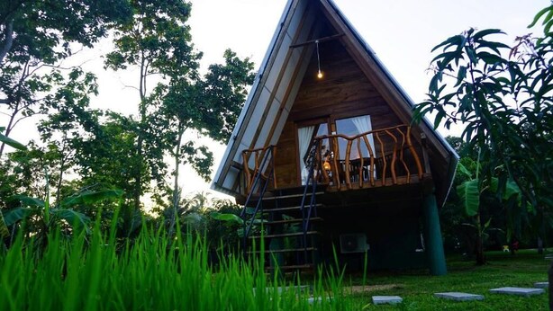 A triangular wooden cabin with a ladder leading to a balcony, surrounded by lush greenery.